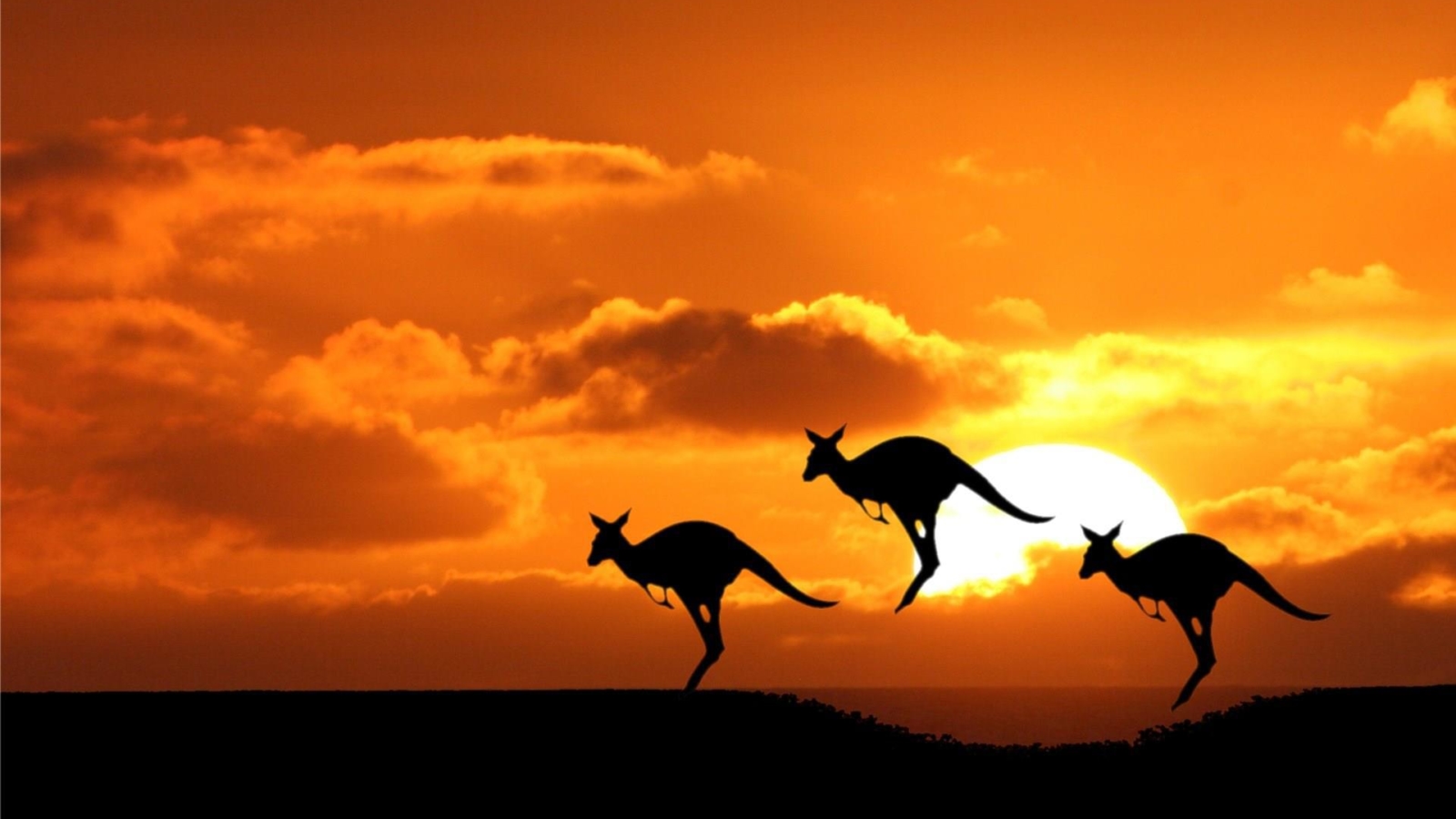10 từ lóng tiếng Anh Úc. Australian Slang Words. www.english4all.vn
