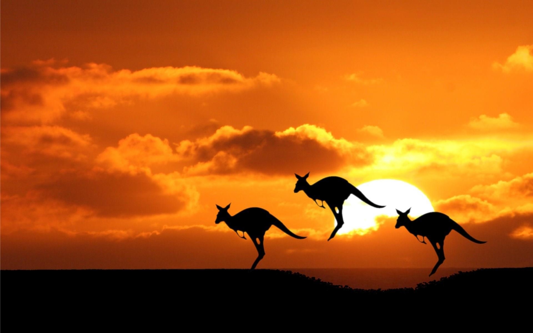 10 từ lóng tiếng Anh Úc. Australian Slang Words. www.english4all.vn