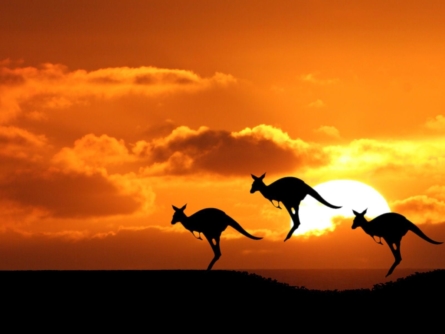 10 từ lóng tiếng Anh Úc. Australian Slang Words. www.english4all.vn