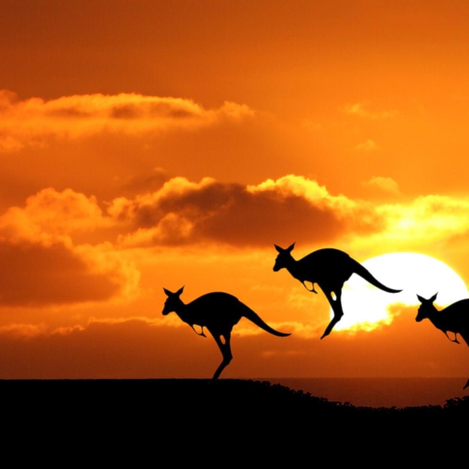 10 từ lóng tiếng Anh Úc. Australian Slang Words. www.english4all.vn