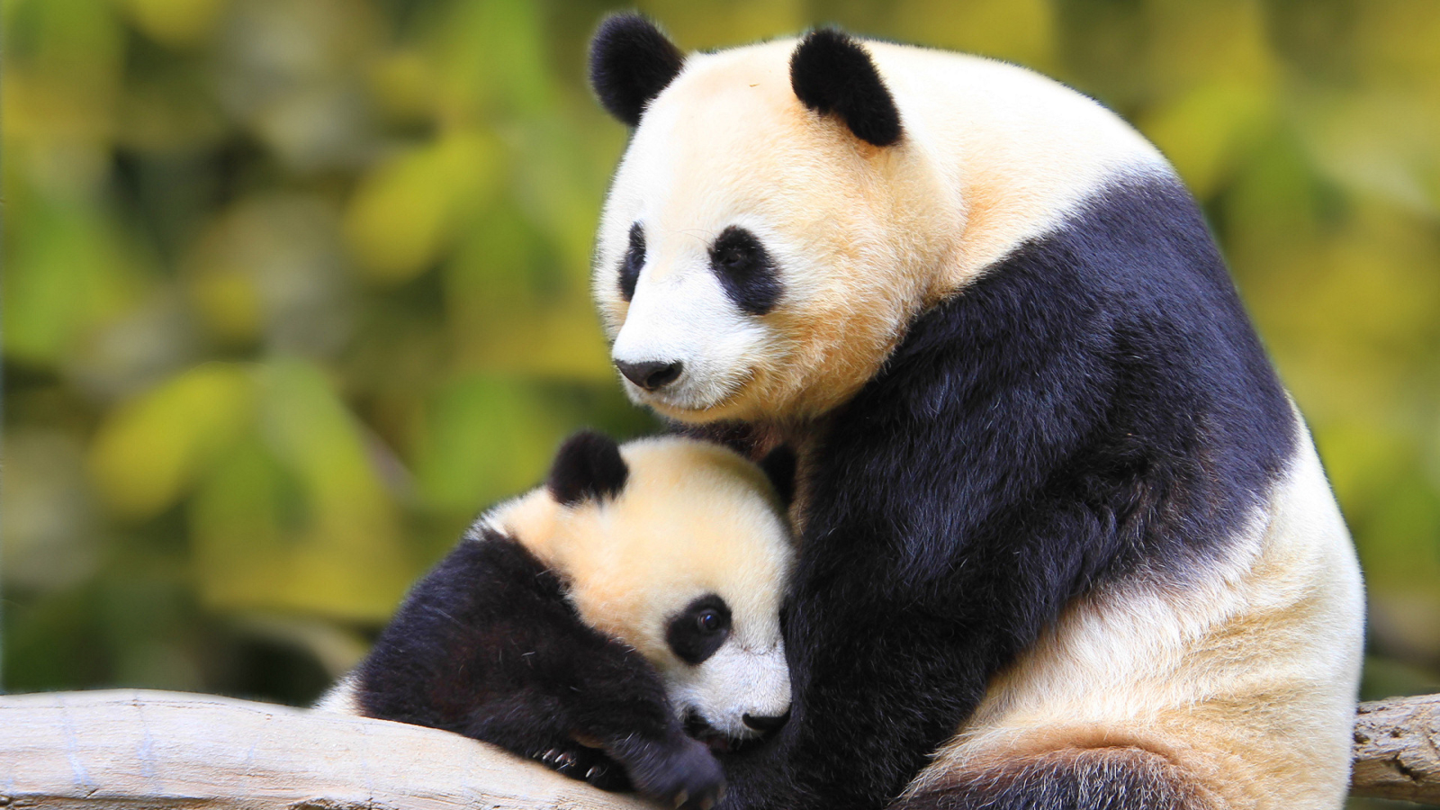 Thành ngữ tiếng Anh thú vị về Màu Đen (Black Idioms) www.english4all.vn