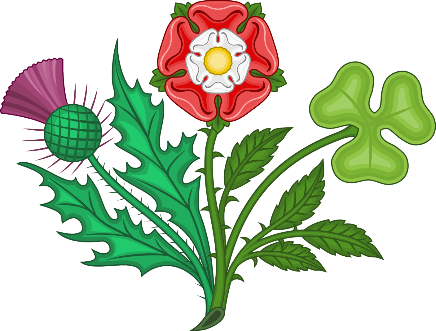 FLORAL EMBLEMS OF BRITAIN? – Quốc hoa của Vương Quốc Anh là gì? Văn hóa Anh. www.english4all.vn
