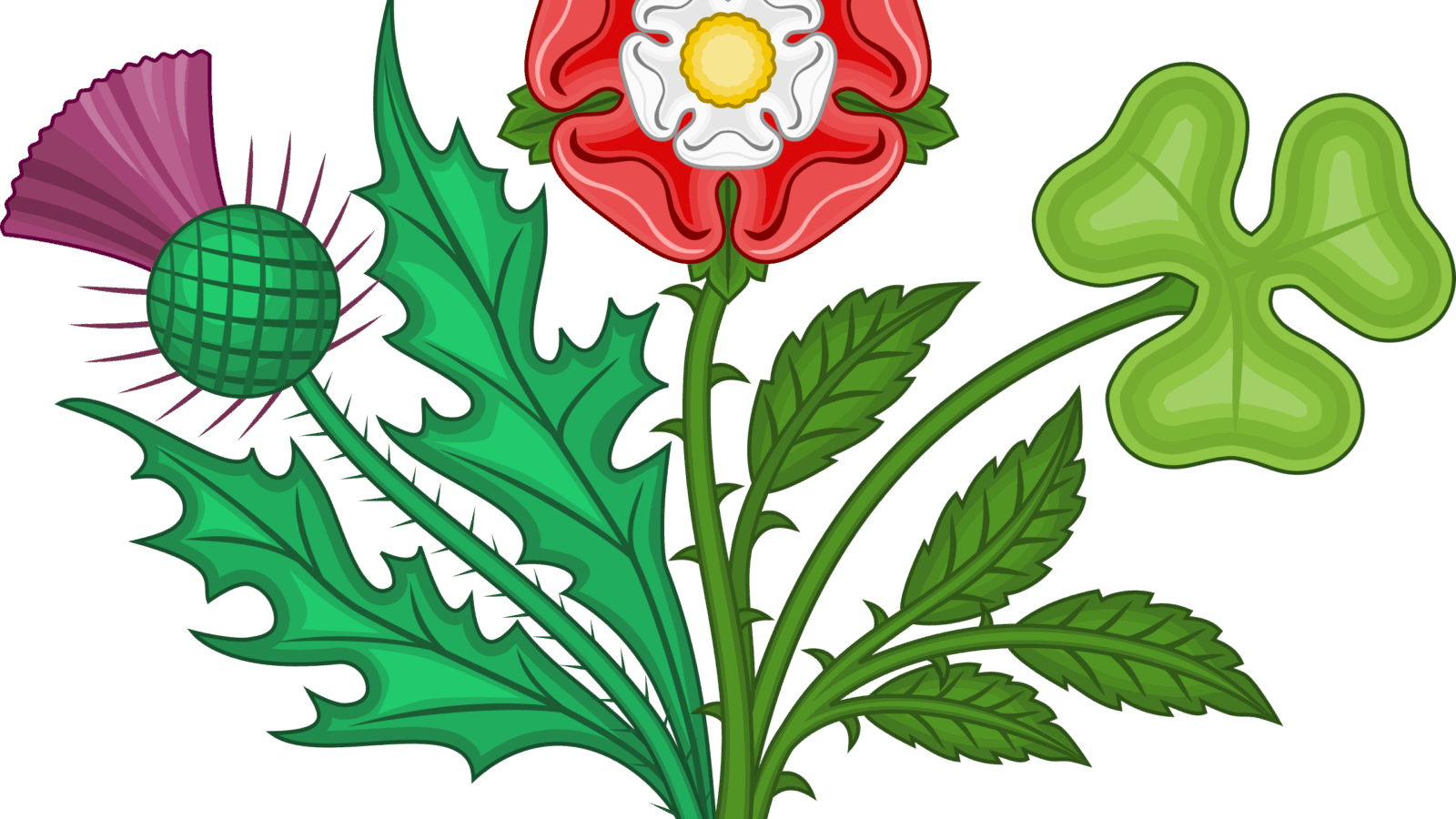 FLORAL EMBLEMS OF BRITAIN? – Quốc hoa của Vương Quốc Anh là gì? Văn hóa Anh. www.english4all.vn