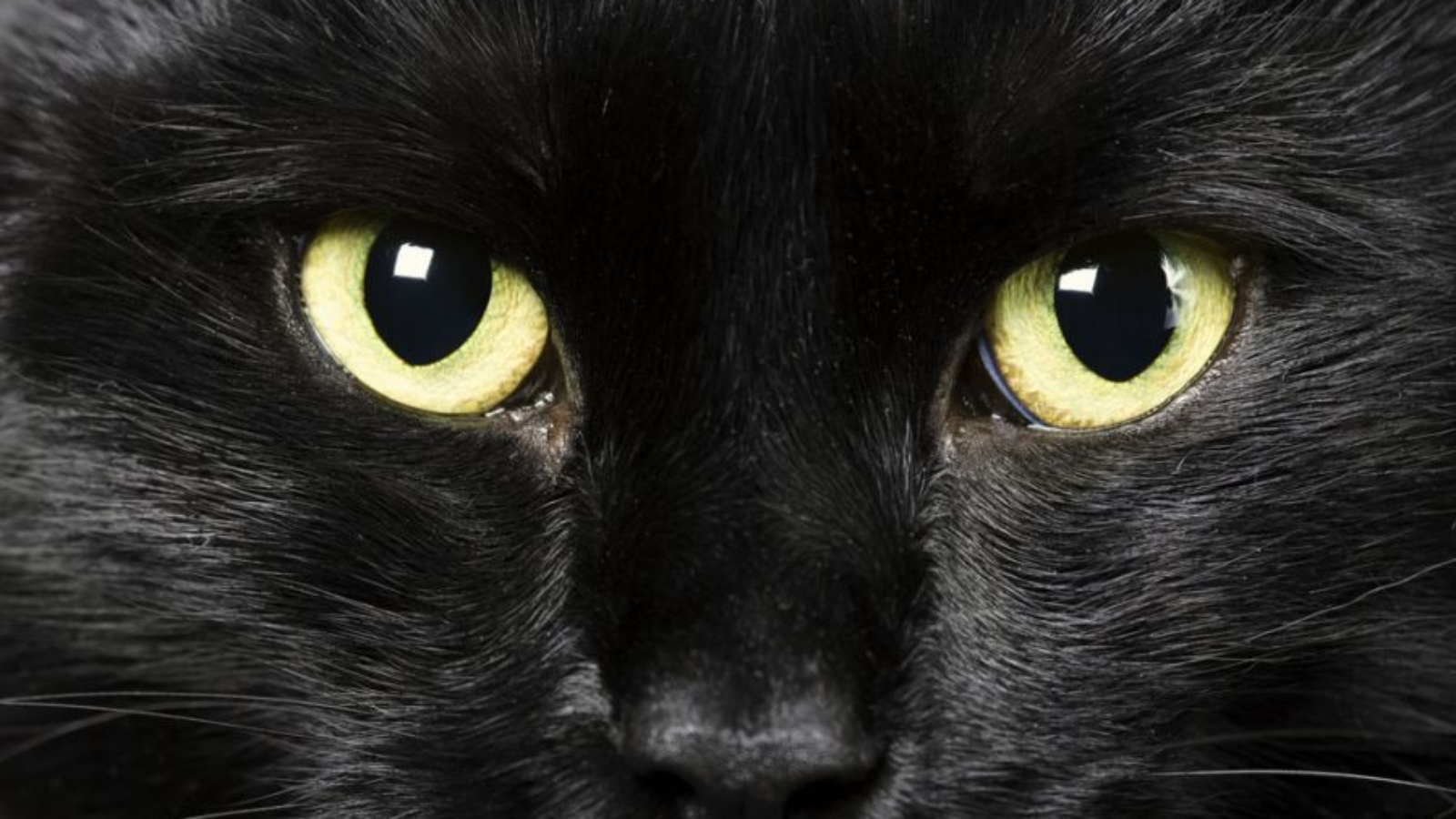 CHUYỆN MÊ TÍN CỦA NGƯỜI ANH (Superstitions in Britain). Văn hóa Anh. www.english4all.vn