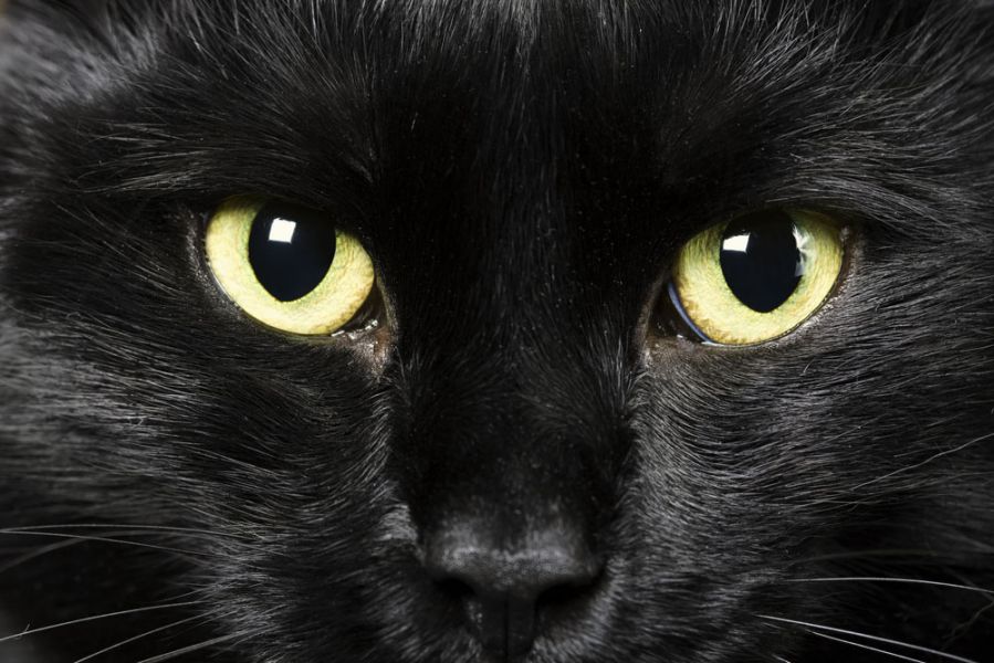 CHUYỆN MÊ TÍN CỦA NGƯỜI ANH (Superstitions in Britain). Văn hóa Anh. www.english4all.vn