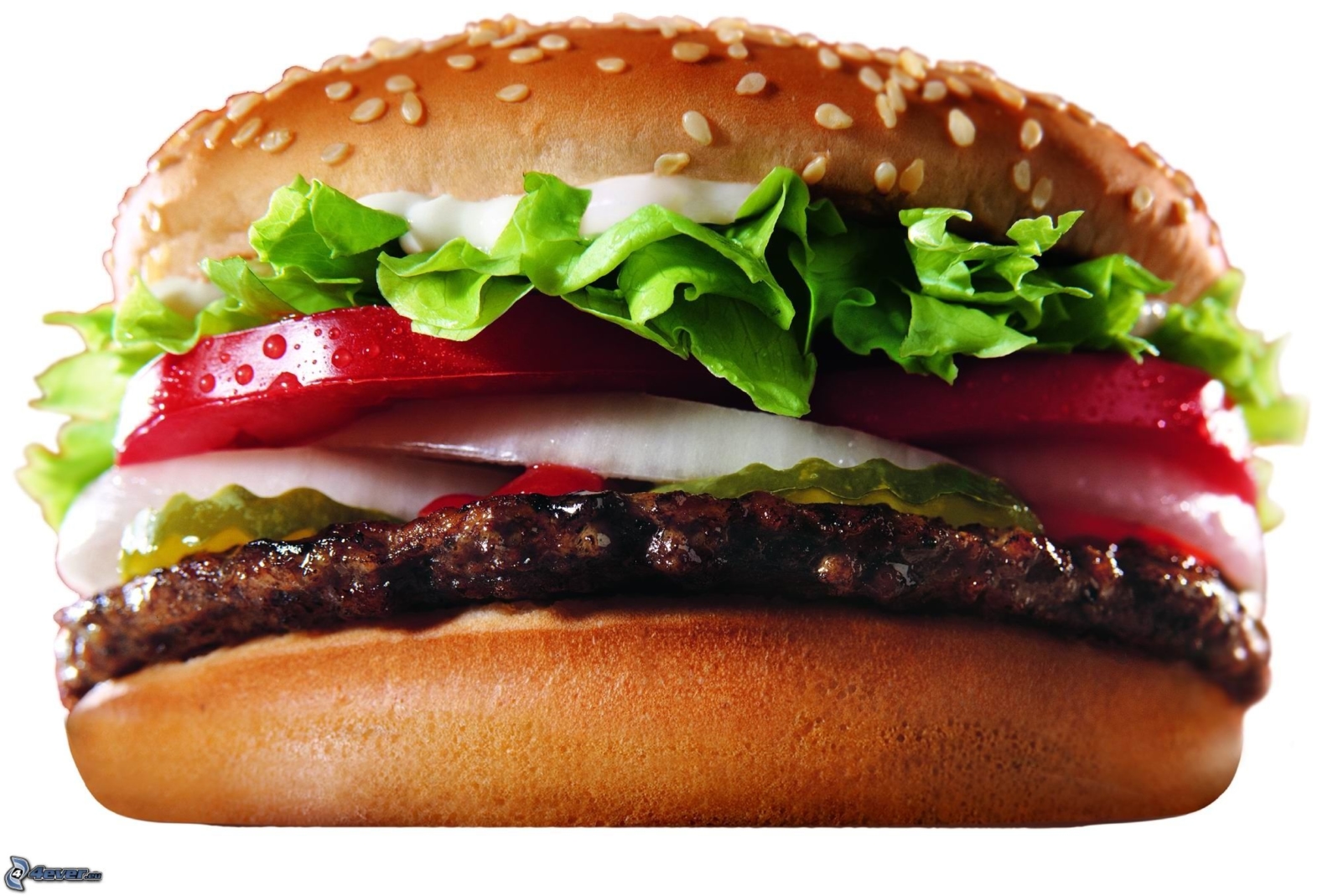 Nguồn gốc từ Hamburger. Word Origin. www.english4all.vn