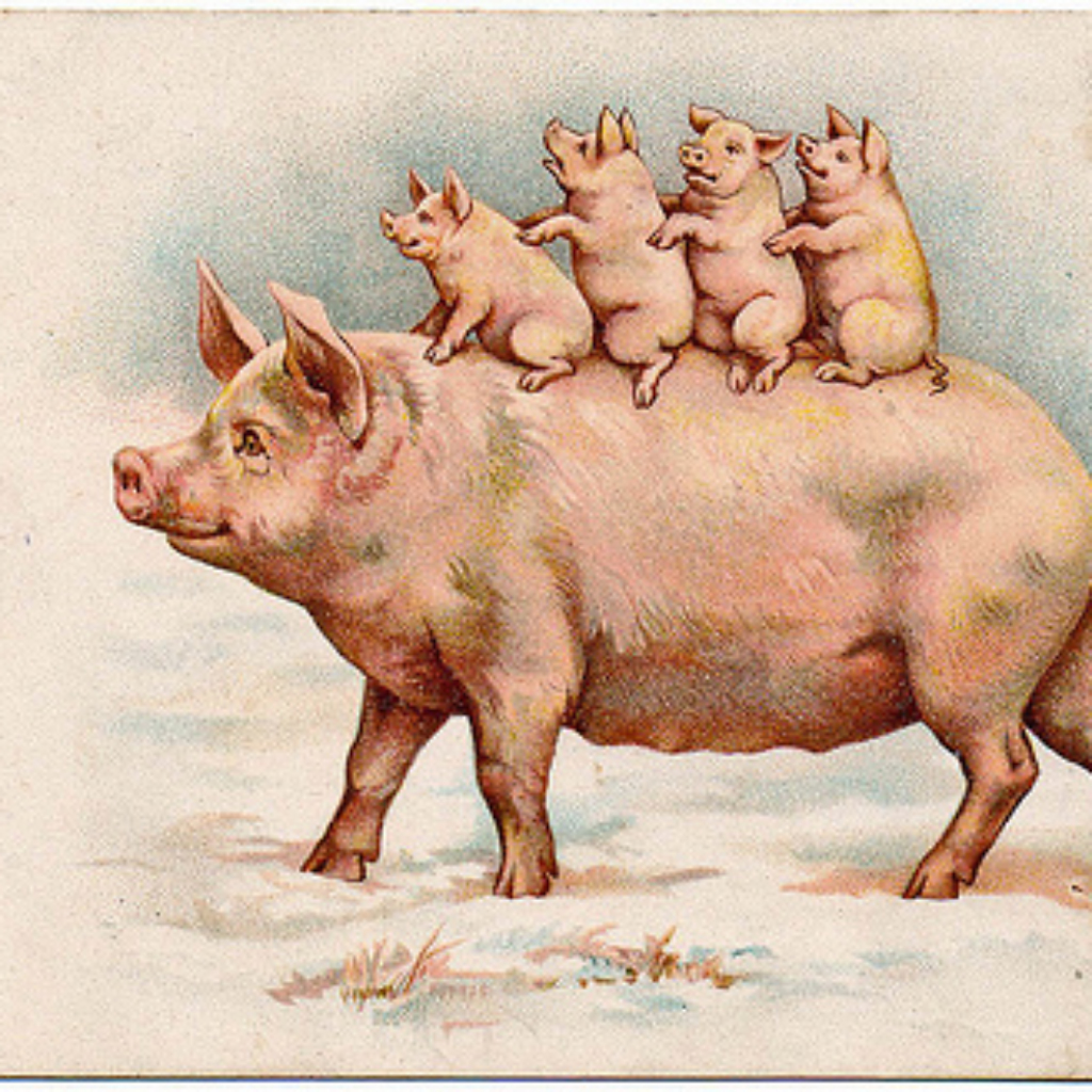 Nguồn gốc từ Piggyback. Word Origin www.english4all.vn