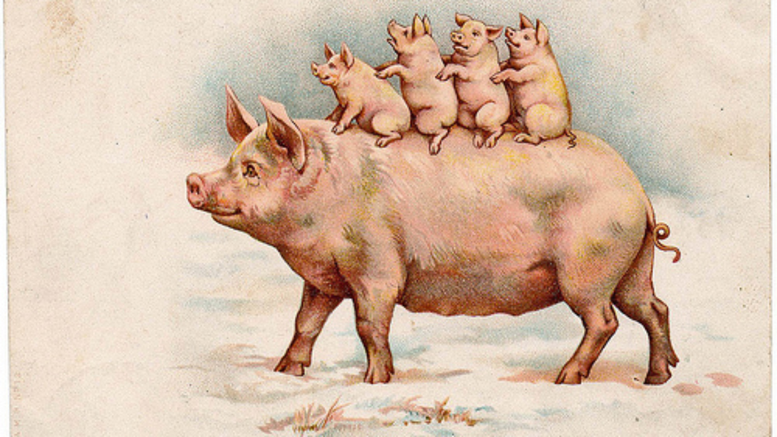 Nguồn gốc từ Piggyback. Word Origin www.english4all.vn