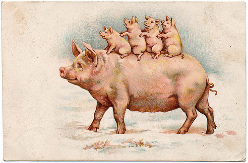 Nguồn gốc từ Piggyback. Word Origin www.english4all.vn