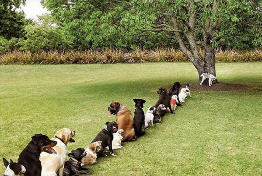 Sự khác biệt giữa Await và Wait. www.english4all.vn
