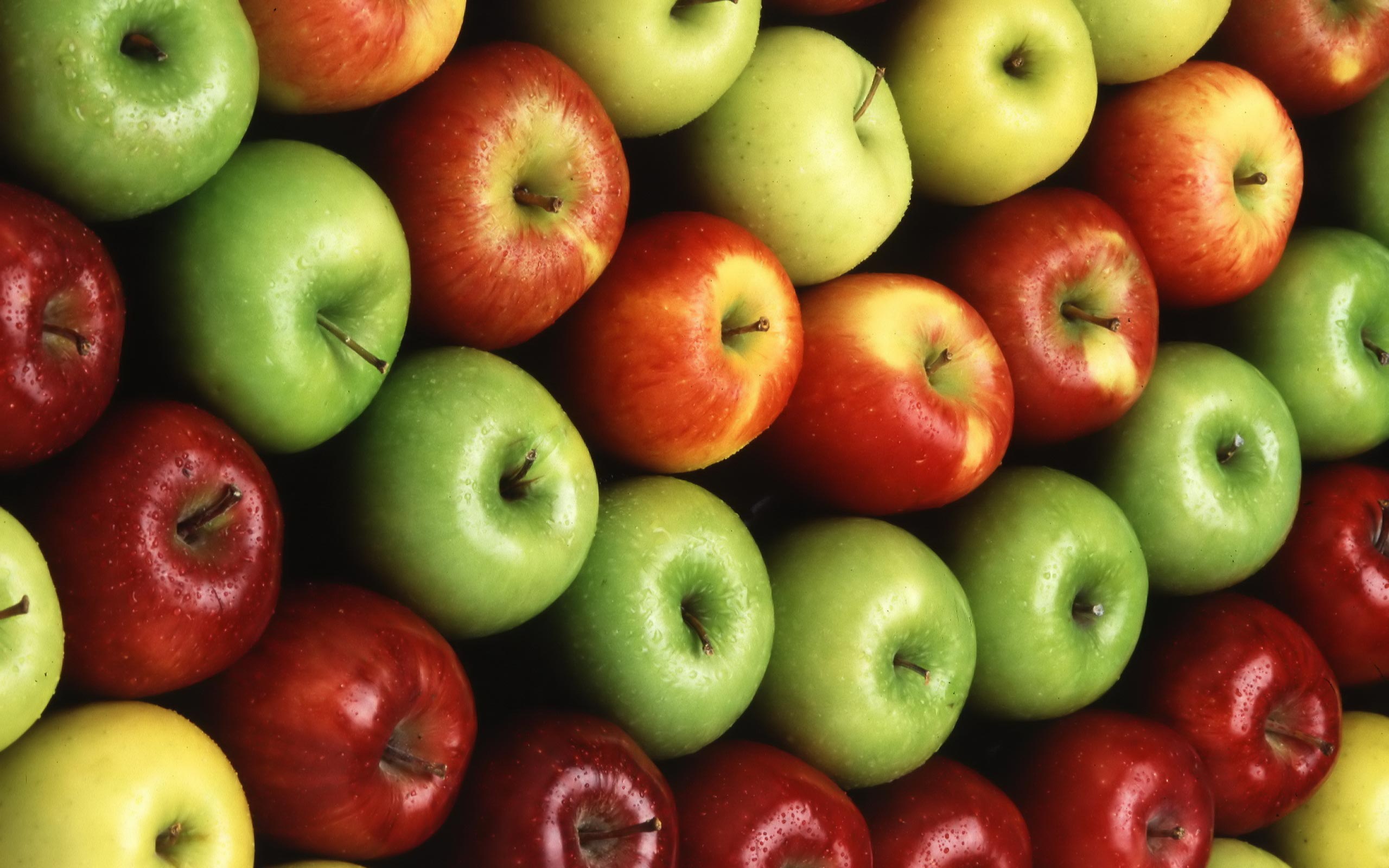 Thành ngữ tiếng Anh về Trái Táo (Apple Idioms) www.english4all.vn