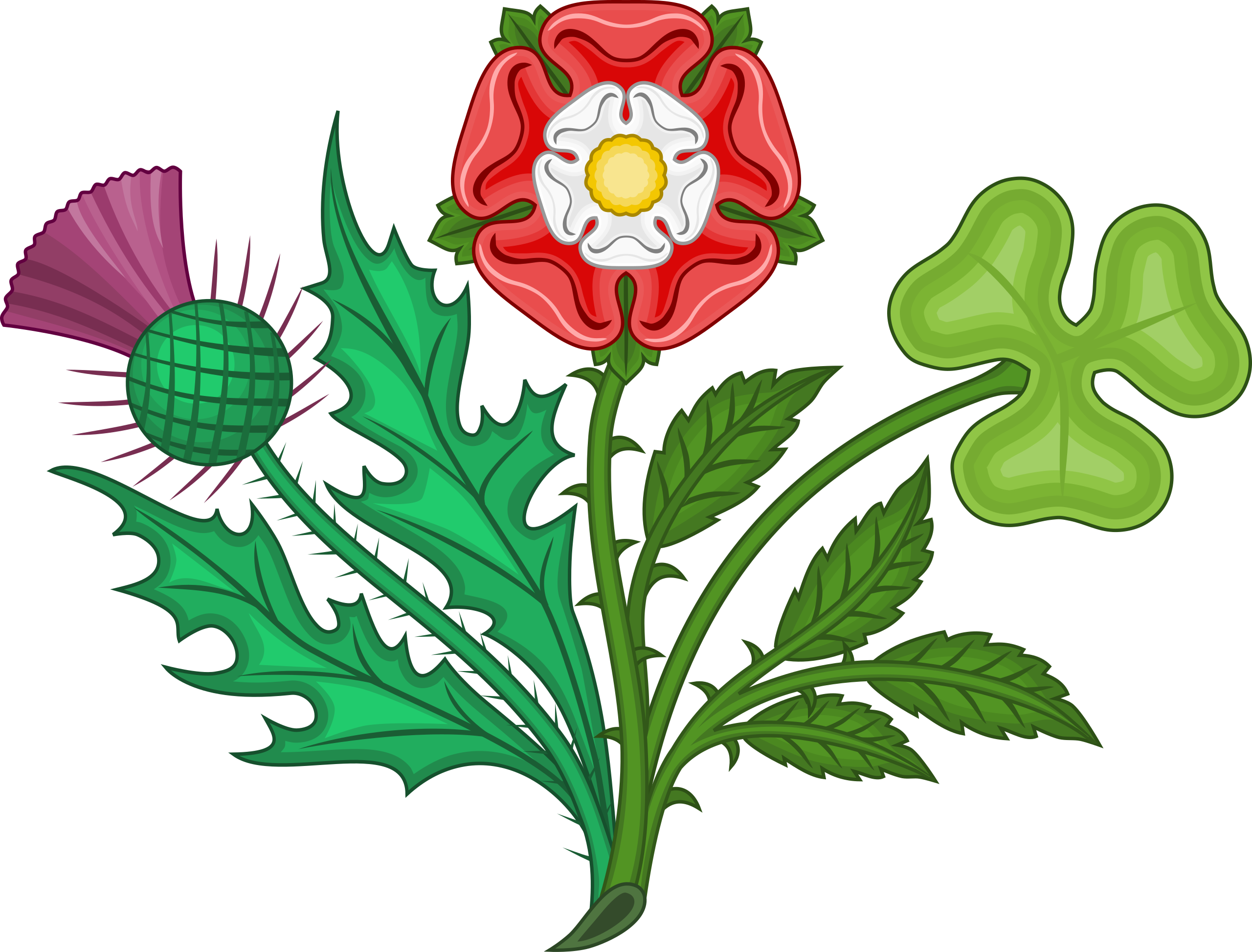 FLORAL EMBLEMS OF BRITAIN? – Quốc hoa của Vương Quốc Anh là gì? Văn hóa Anh. www.english4all.vn