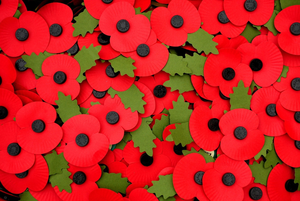 Why do British wear poppies every November? VÌ SAO NGƯỜI ANH LẠI CÀI HOA ANH TÚC LÊN NGỰC ÁO VÀO THÁNG 11? Văn hóa Anh. www.english4all.vn